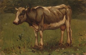 Vache