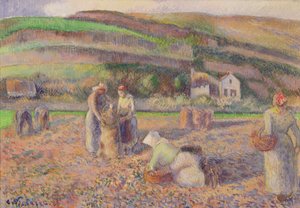 La récolte de pommes de terre, 1886