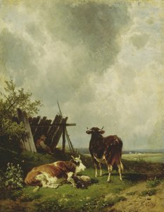Les vaches