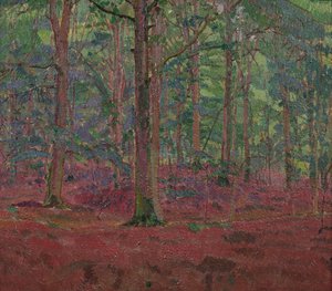 Un bois de hêtres