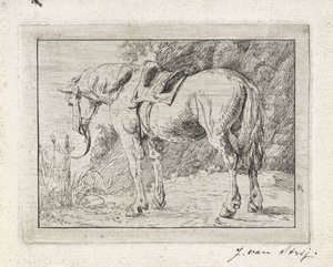 Cheval sellé attaché à un poteau