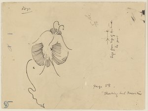 Papillon (recto) ; Fragment de papillon (verso)