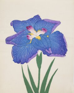 Azumabotan, No. 89, 1890