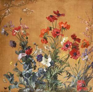 Coquelicots, Iris et Fleurs