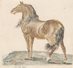 Le cheval hennissant