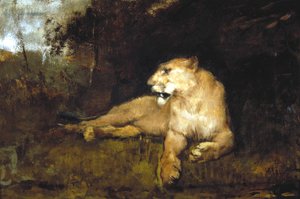 Une lionne