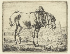 Cheval harnaché comme cheval de travail
