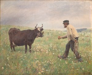 Une vache en liberté