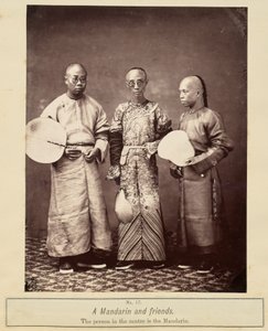 Un mandarin et ses amis