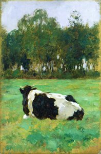 Une vache dans le pré