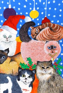 Chats de Noël