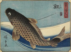Carpe, 1830-1844 - Utagawa Hiroshige