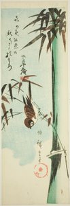 Moineau et bambou