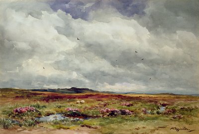 Une journée venteuse, Dartmoor - Wycliffe Egginton